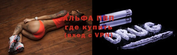 ECSTASY Карталы