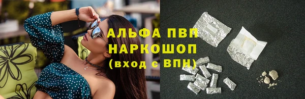 круглые Карпинск