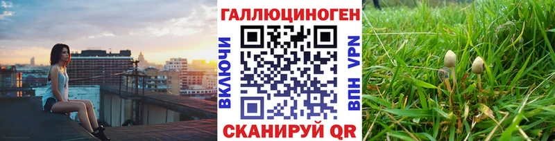 магазин  наркотиков  Краснослободск  Галлюциногенные грибы Cubensis 